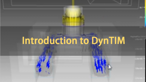 Introduction to DynTIM | 英语 