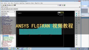 ANSYS FLOTRAN 视频教程