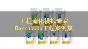 工程流化模拟专家 Barracuda工程案例集