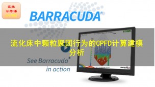 【公开课】 Barracuda流化床中颗粒聚团行为的CPFD计算建模分析