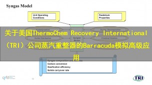 【原厂教程】关于美国ThermoChem Recovery International（TRI）公司蒸汽重整器的Barracuda模拟高级应用