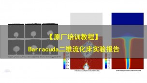 【原厂培训教程】Barracuda二维流化床实验报告