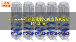 【公开课】Barracuda石油催化裂化反应仿真分析