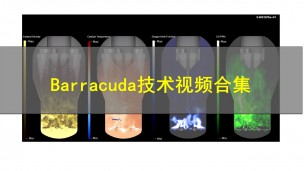 【原厂培训教程】Barracuda技术视频合集