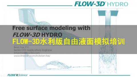FLOW-3D水利版自由液面模拟培训