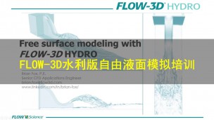 FLOW-3D水利版自由液面模拟培训