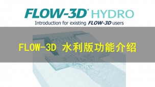 FLOW-3D 水利版功能介绍