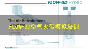 FLOW-3D空气夹带模拟培训