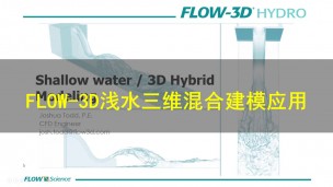 FLOW-3D浅水三维混合建模应用