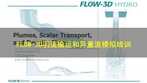 FLOW-3D羽流输运和异重流模拟培训