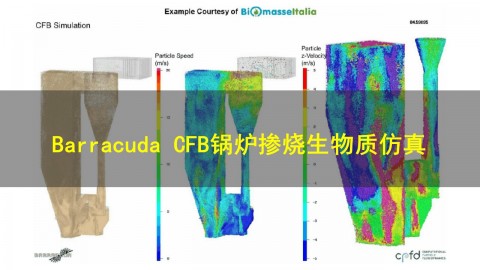 Barracuda CFB锅炉掺烧生物质仿真