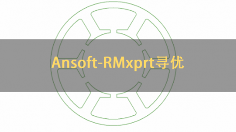 Ansoft-RMxprt寻优