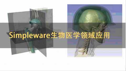 Simpleware生物医学领域应用