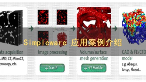 Simpleware应用案例介绍